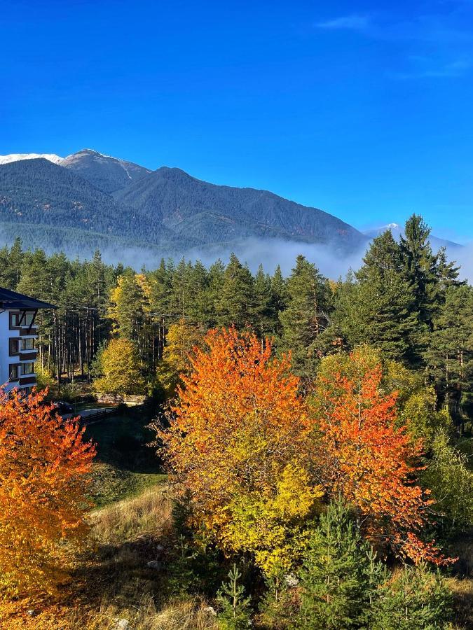 Park Hotel Panorama بانسكو المظهر الخارجي الصورة